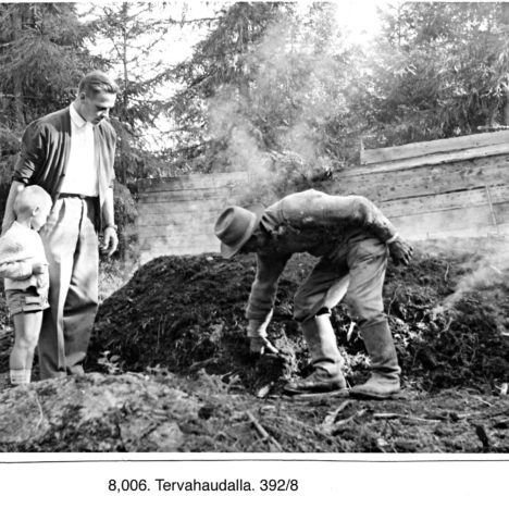Tervahaudalla